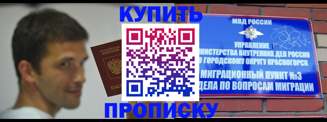 временная регистрация 2025 в Моршанске